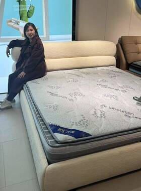 奶油风布艺公主床YQX代大小型户主卧双人环抱床意式约内嵌现落地