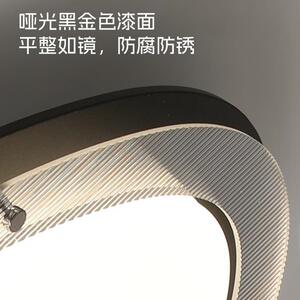 鹅卵石2护17691眼客厅灯现代简约大厅主屋灯吸顶灯中灯具025新山