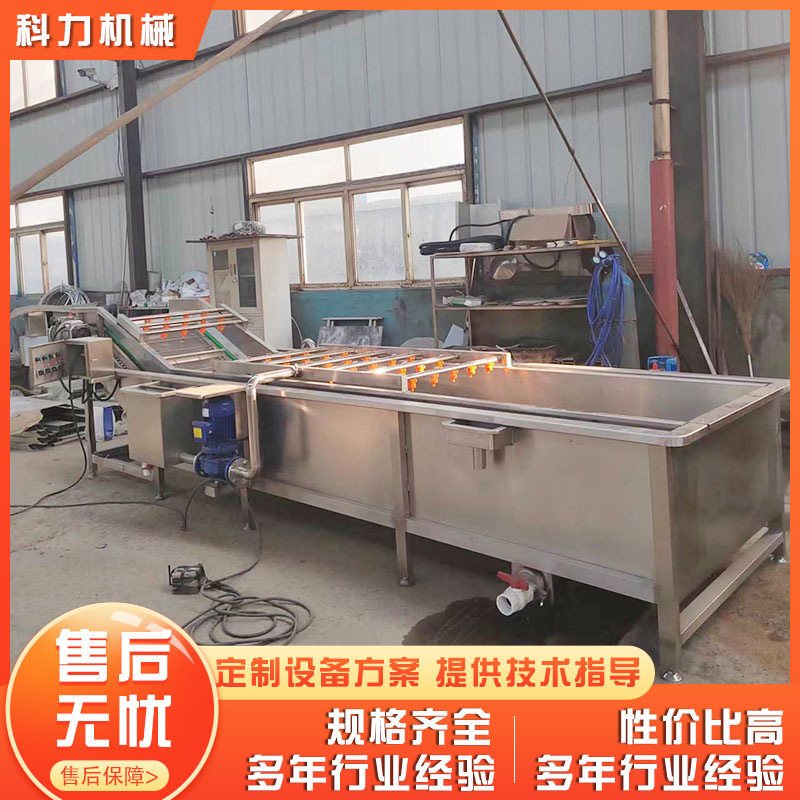 大型果蔬气泡清洗机去泥去垢