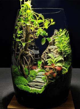 万重山意桌面苔植物景观办公室盆65oj1bSn景养绿植生态造藓景好盆