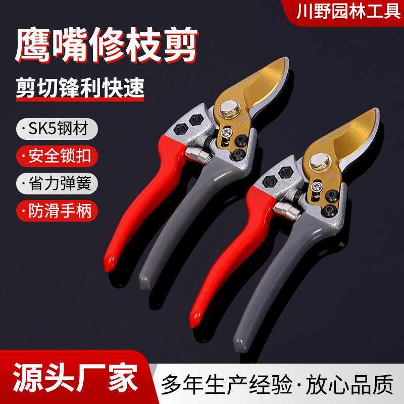 鹰嘴修枝剪园艺花枝剪树枝剪园艺果树剪枝专用果枝剪加厚花艺剪刀,鲜花速递/花卉仿真/绿植园艺,剪刀,淘宝优惠券,粉丝福利购,淘宝优惠卷