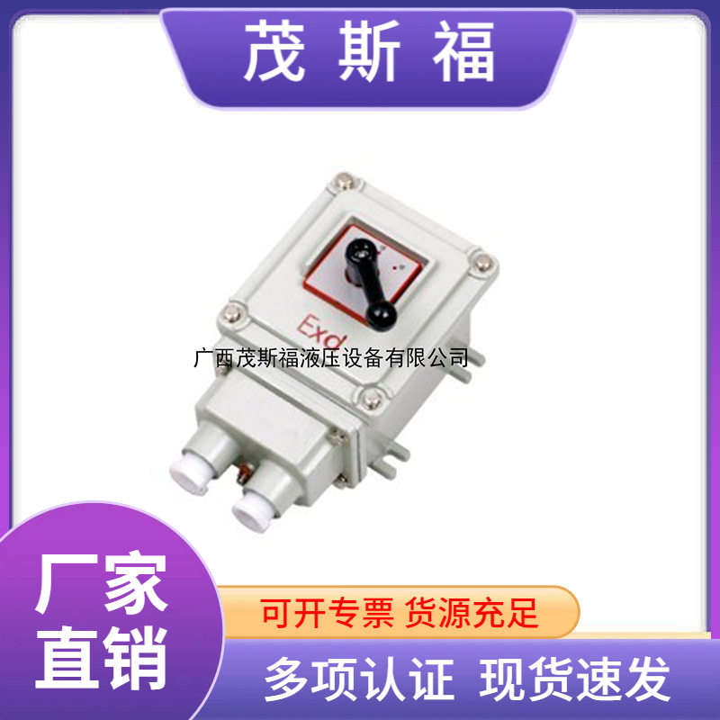 BQXN系列防爆倒顺开关开关电机控制器220V380V三项防爆倒顺开关