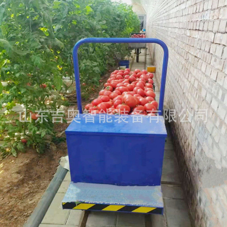 山坡运输轨道车智能温室大棚采摘车专用轨道轮