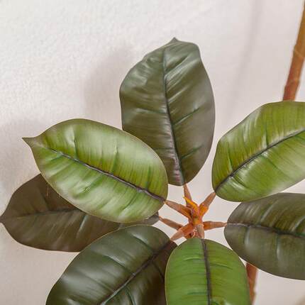 大型仿真绿植黑金刚橡假皮树植物室内客装栽厅橱YJ-00107窗饰摆件