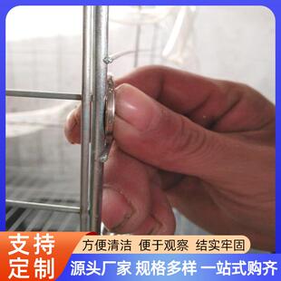 鸽子笼家用信鸽蛋鸽养殖全套BAM配对大养号加粗鸽笼殖12位种鸽笼