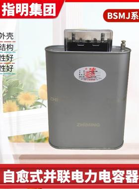 指明团BSMJ00.23-5-DLE集1低压电力电容器等级电压23v1订货
