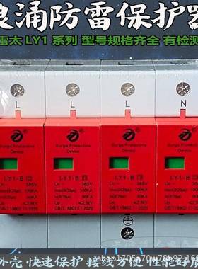 雷太LY1-B60-100KA/4P三相配电箱浪涌电涌保护器 SPD避防雷器模块