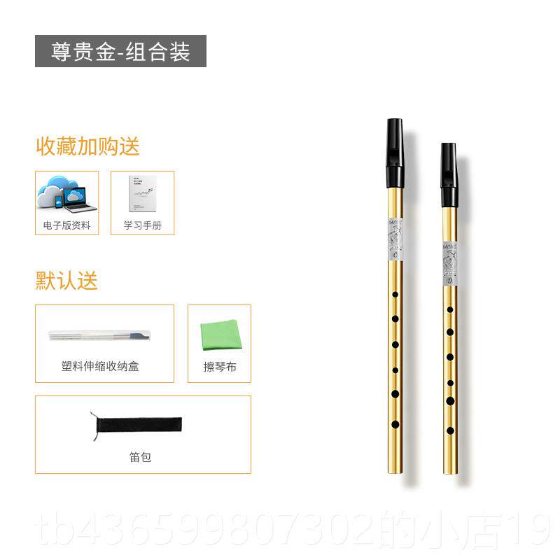 正品国品美牌内米爱尔兰口哨初学者的门入级六孔奥录音机C键D键高