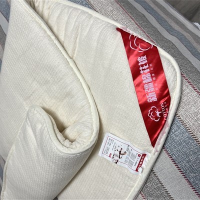 幼儿园垫被纯棉冬季加厚棉垫芯垫絮垫褥床垫60*135cm 60*120cm