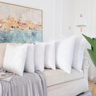 长方形不塌陷抱枕芯定制定做45 50 60 65 70超大抱枕沙发靠垫芯