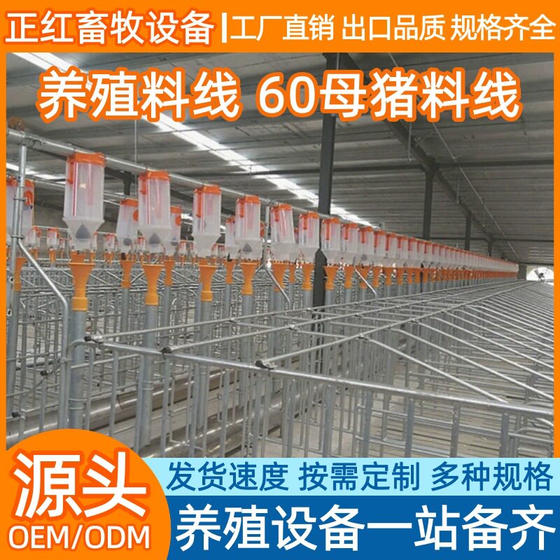 正红畜牧设备 养殖场 60母猪料线 自动料线养猪场料线