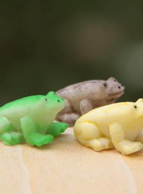 小清新青蛙DIY造景多肉摆件花园摆饰微景观盆栽园艺饰物爆款