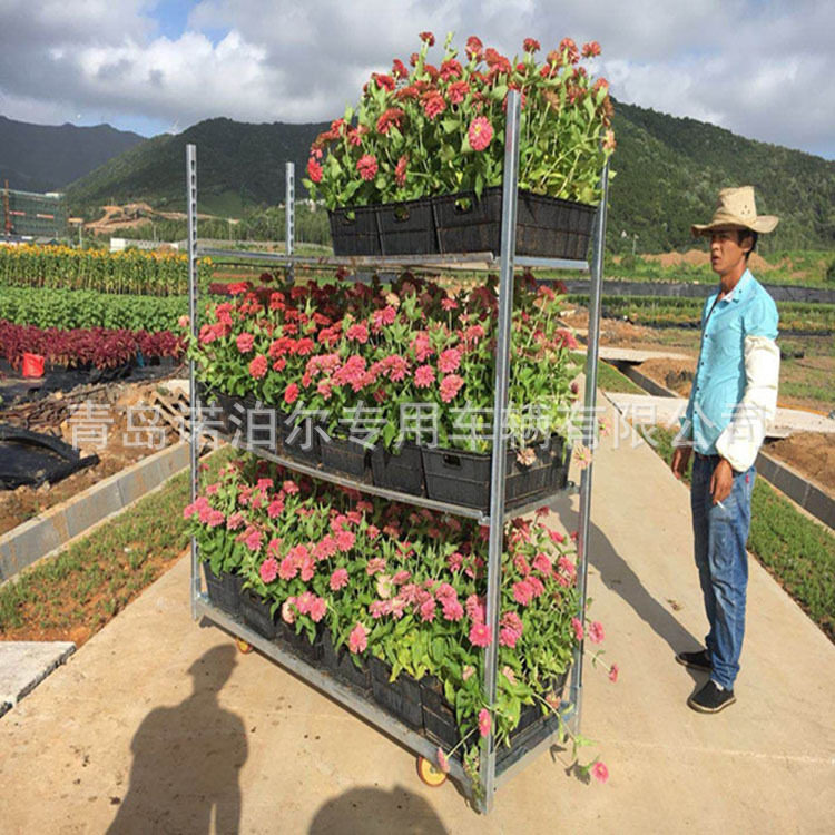 一手货源实力卖家工厂自产自销花卉台车物流周转车育苗车园艺车