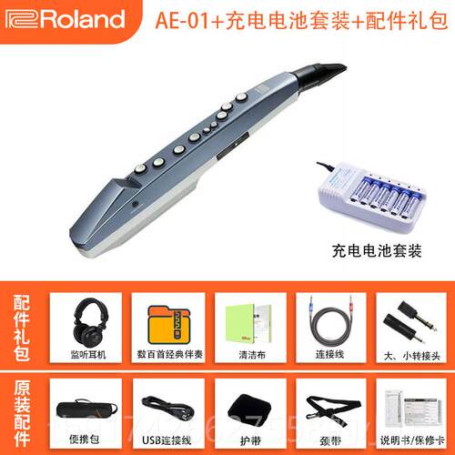 新款Roanld罗兰电吹管乐器AE01娱乐初斯ae05/01学c电子萨克葫芦丝