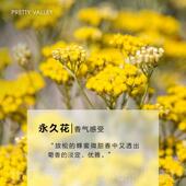 高档精汇美舍永久花精油2.l5m单方油护纯植物面部眼部肤抗皱淡纹