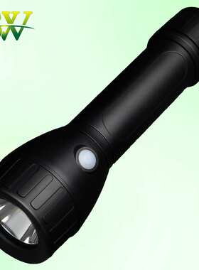 BAD206防爆电筒ML6013BXD5200NIB8302手电SZSW2101便携式强光