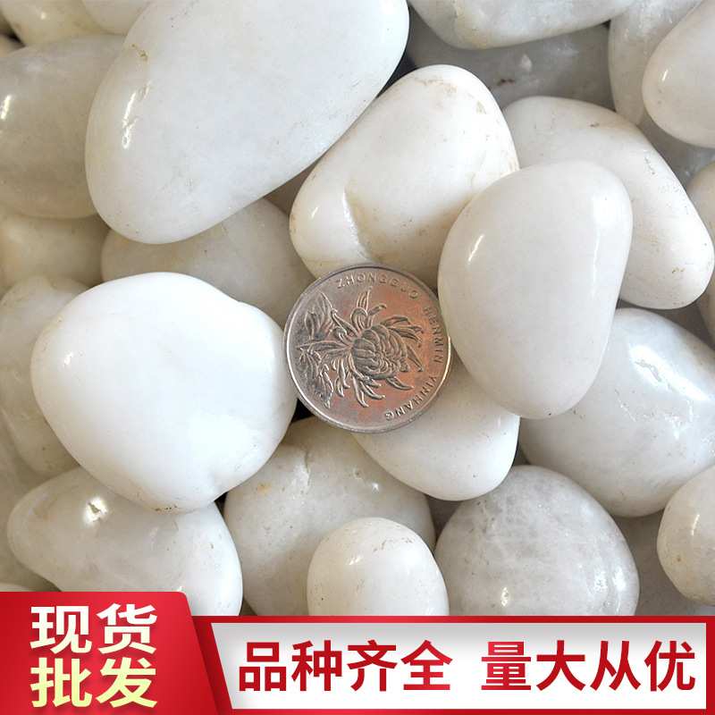 白色抛光鹅卵石天然装饰雨花石园林家装工程雨花石子南京沙石