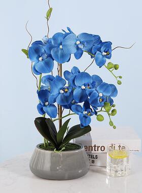 蝴蝶兰胶片手感客假花仿真花卉盆景厅室内摆装饰盆栽F2wM8Xe4花件