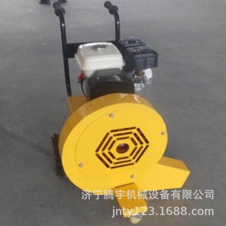 手式混凝推风KRS土路面吹机泥水路面吹风机,鲜花速递/花卉仿真/绿植园艺,其它园艺用品,淘宝优惠券,粉丝福利购,淘宝优惠卷