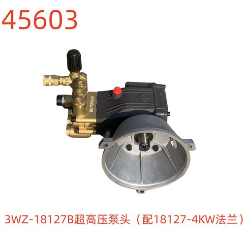 洗特超高压泵头配18127-4KW法兰