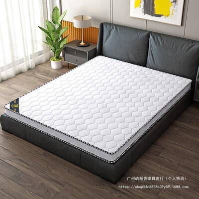 天然9496椰棕床垫硬垫5m护脊棕垫榻米垫子可折叠.出1租房榻用棕榈