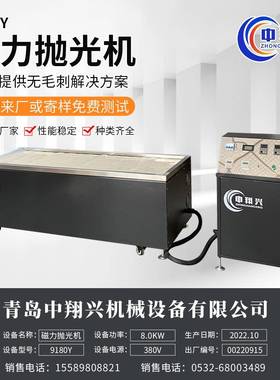 多功能块状等较长产品用1力81040Y磁抛力光机双机组平移9式磁抛光