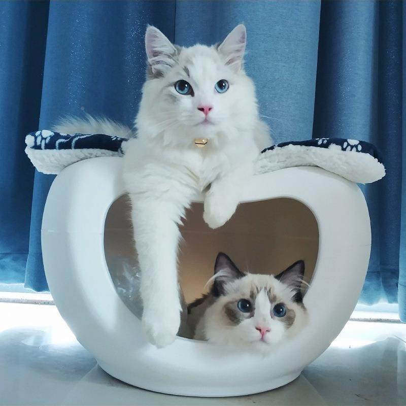 宠物窝半封闭式四屋季通用网猫猫床夏季猫咪红猫580窝舍凳子猫窝,宠物/宠物食品及用品,猫窝/屋/帐篷/沙发,淘宝优惠券,粉丝福利购,淘宝优惠卷