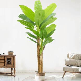 高端超大型仿真绿植阔叶蕉芭树热室内芭蕉树仿生带植物造景假树饰