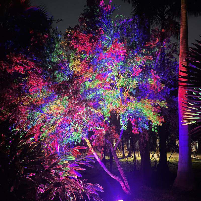 景LED染色灯彩虹树灯氛围园林公园观文旅景观夜游照投光QD-C001灯