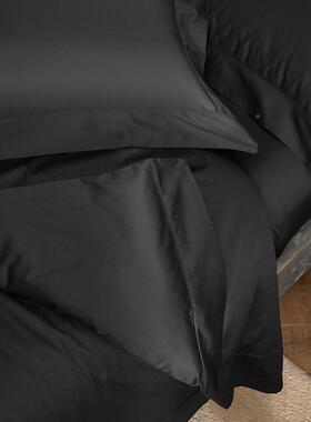 品14S超柔天雪CR全工艺长绒棉全0棉四件柔软细腻奢AL769094华被套