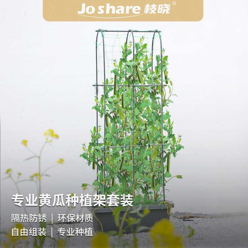 枝晓 菜园西红柿支撑杆户外庭阳台院蔷薇爬藤架 黄瓜种植架套装