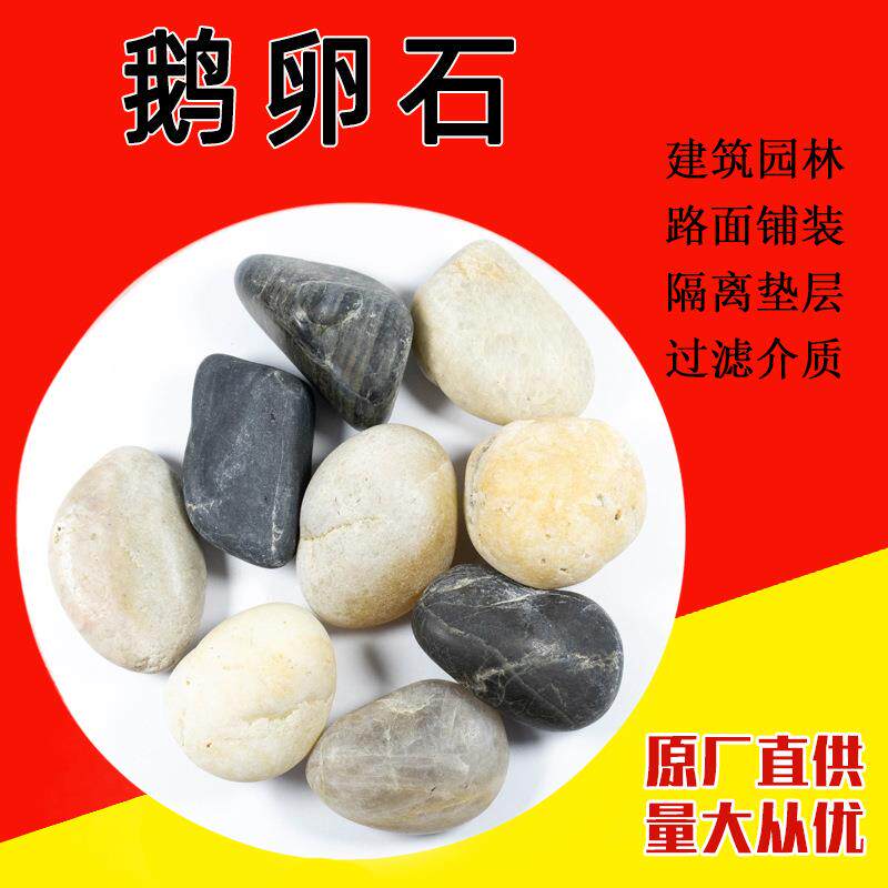 园艺花卉水族用白卵石 小石子 别墅园林铺路专用白鹅卵石
