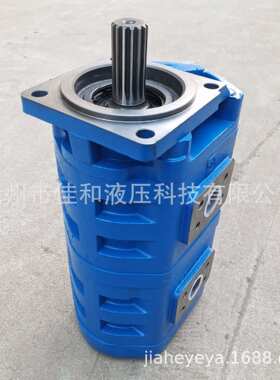 山东渔船双联泵    CBGJ3140/3140      广东渔船齿轮泵CBGJ3/3