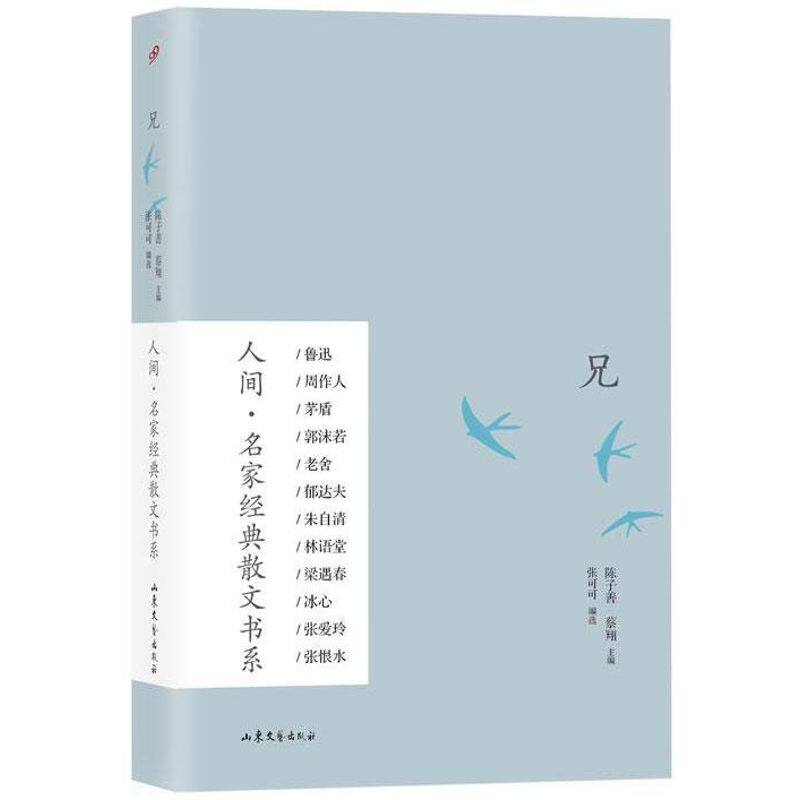 正版图书 兄 张可可 编 著作 山东文艺出版社