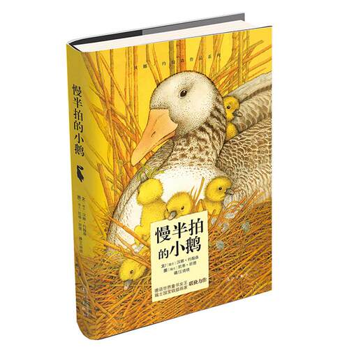 正版图书 慢半拍的小鹅 无 著 王晓晓 译 漓江出版社