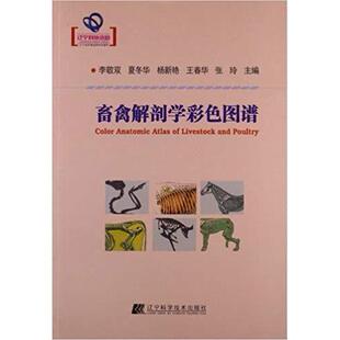正版新书 畜禽解剖学彩色图谱 9787538175400 辽宁科学技术出版社