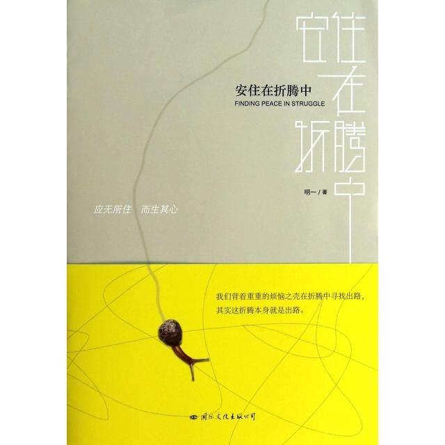 正版新书 安住在折腾中 9787512506596 国际文化