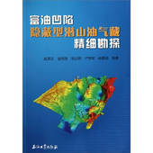 新书 富油凹陷隐蔽型潜山油气藏精细勘探 9787502179113 正版 石油工业出版 社