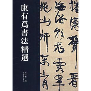正版新书 康有为书法精选 9787540115302 河南美术出版社