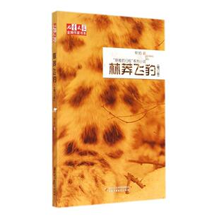 正版新书 林莽飞豹（修订版） 9787514818406 中国少年儿童出版社