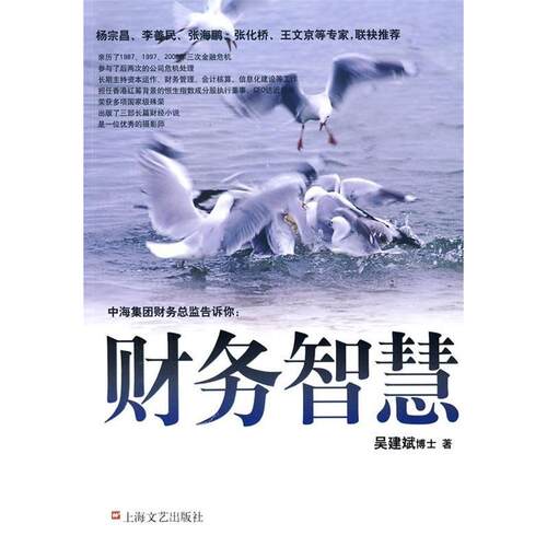 正版图书 财务智慧 吴建斌 上海文艺出版社