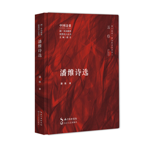 长江文艺出版 正版 9787570218851 潘维诗选 社 二手