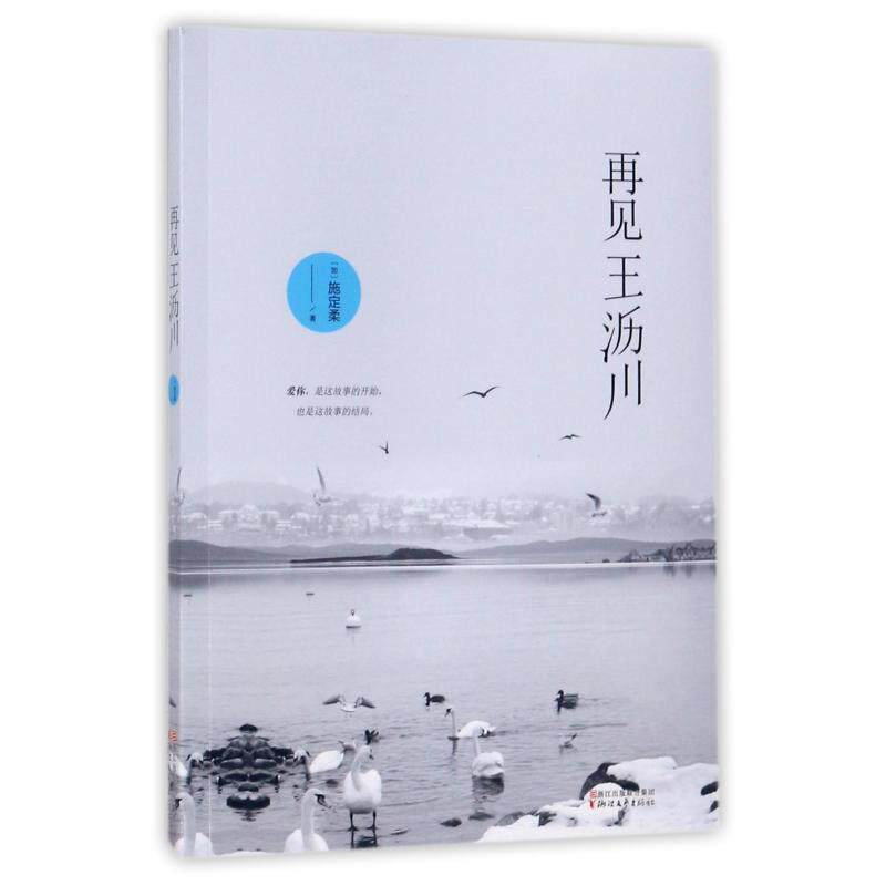 正版图书 再见王沥川 (加)施定柔 著 浙江文艺出版社