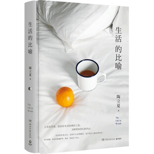 正版新书 生活的比喻 9787540485672 湖南文艺出版社