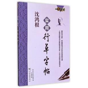 正版新书 沈鸿根实用行草字帖/一字千金字帖 9787540130992 河南美术