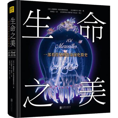 正版新书 生命之美