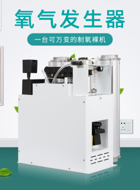 20L制氧机模块3L制氧机裸机PSA工业制氧机高浓度10升臭氧氧气源5L