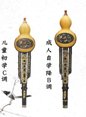 葫芦调丝乐器学成人初专业演奏型儿小学生入童门防摔胡JTP芦丝C降