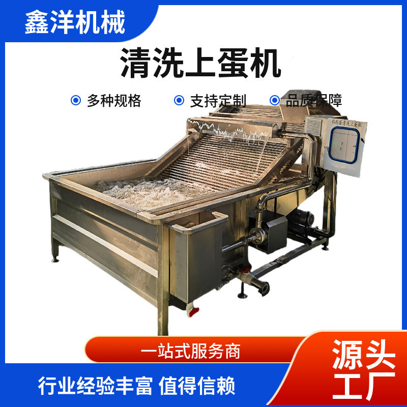 鑫洋全自动鹌鹑蛋洗蛋机 不锈钢水槽上蛋机 商用鹌鹑蛋清洗机
