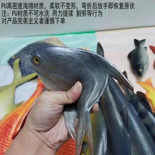 观赏鱼仿真605PU模型海洋鲳鱼鲤饭鱼店酒店具商场摆盘摄影拍鱼摄